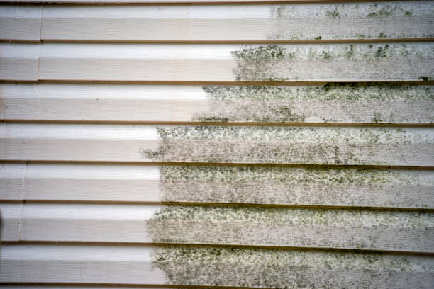 Affordable Siding Repair and Maintenance Services in Gainesville, TX